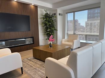 A living room with a flat screen TV, a coffee table, and a potted plant.